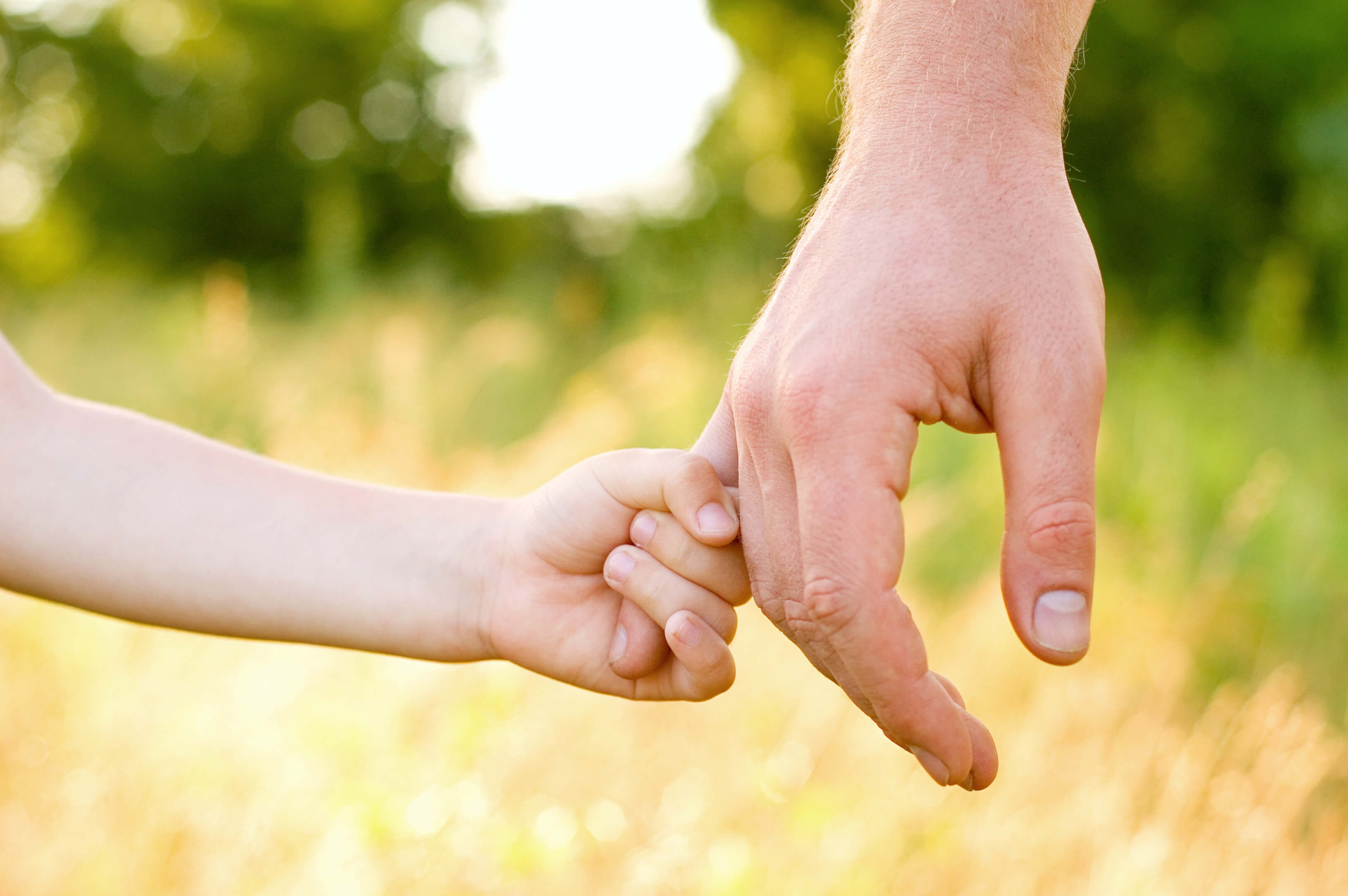 Kind und Vater halten draußen im Grünen Händchen